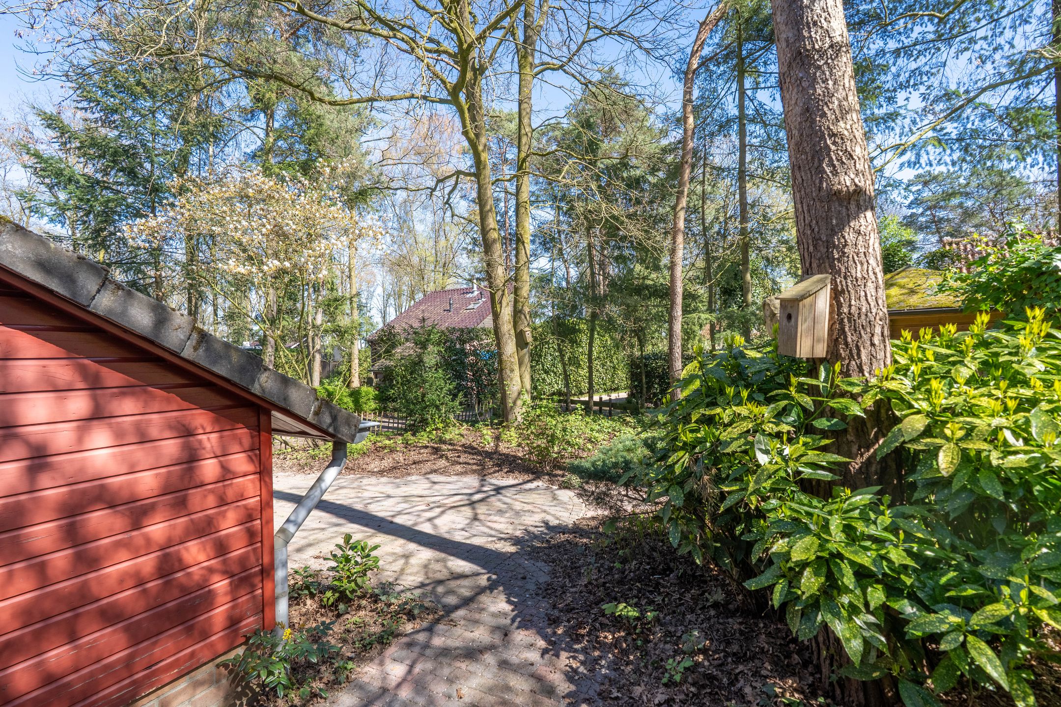 Foto 15 van Helderse Duinen 9