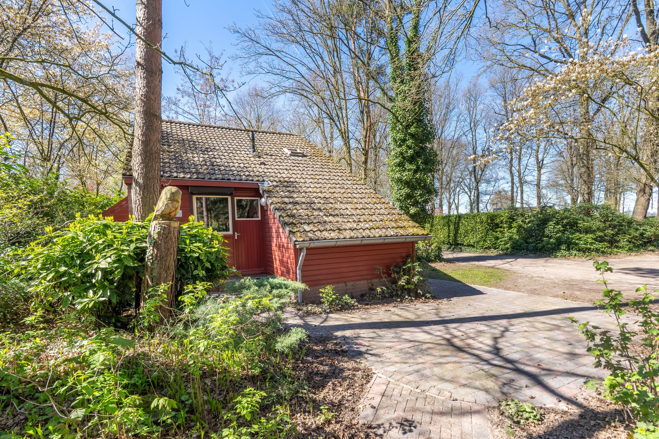 Foto 12 van Helderse Duinen 9