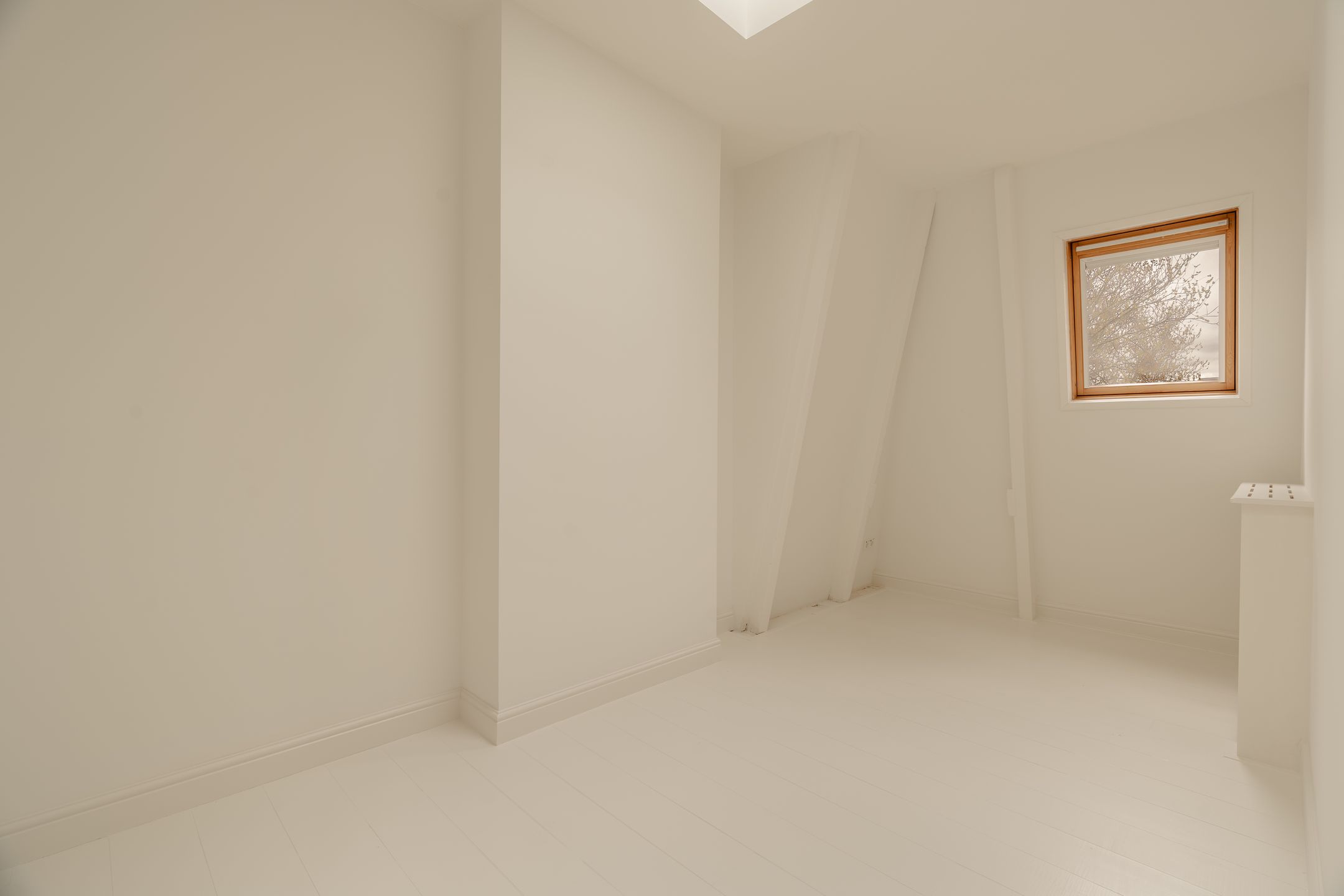 Photo 45 of Willemsparkweg 124-2