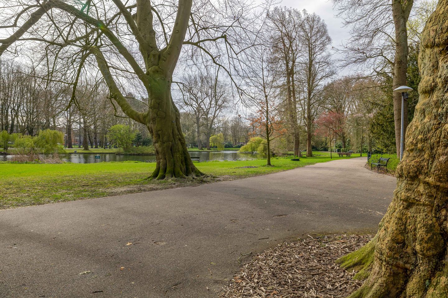 Foto 35 van Iepstraat 28