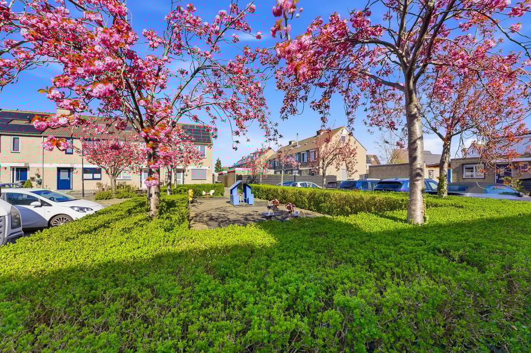 Foto 52 van Schrijvertje 17