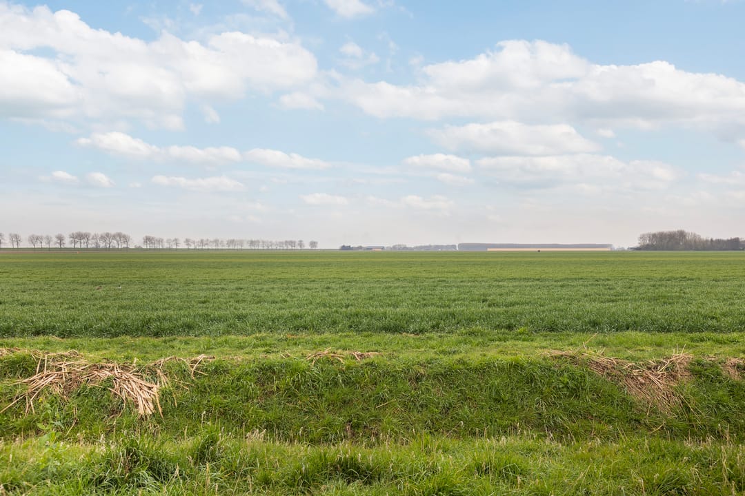 Foto 43 van Torenlaan 30