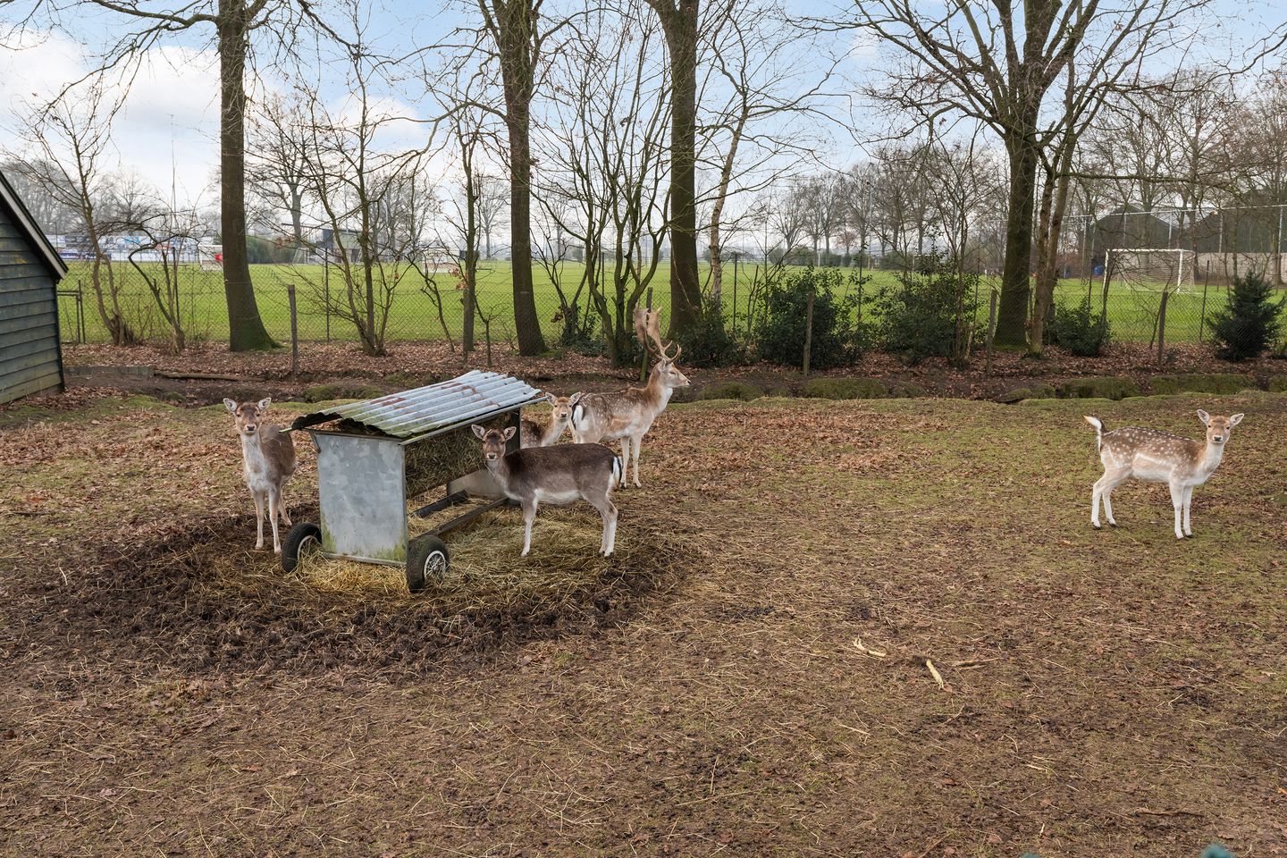 Foto 70 van Groeneweg 3