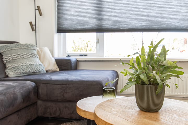 Photo 4 of Johannis van Rijswijkstr 8