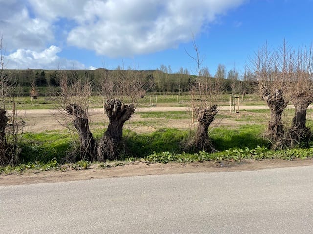 Foto 3 van Drakensbergen 3