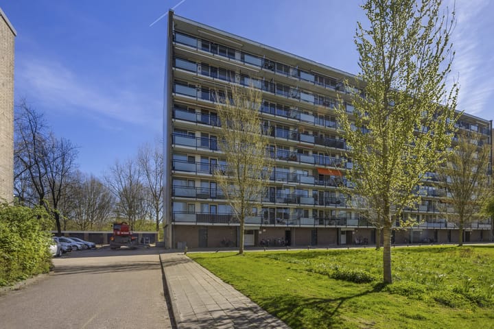 Foto 5 van Trekvogelweg 301