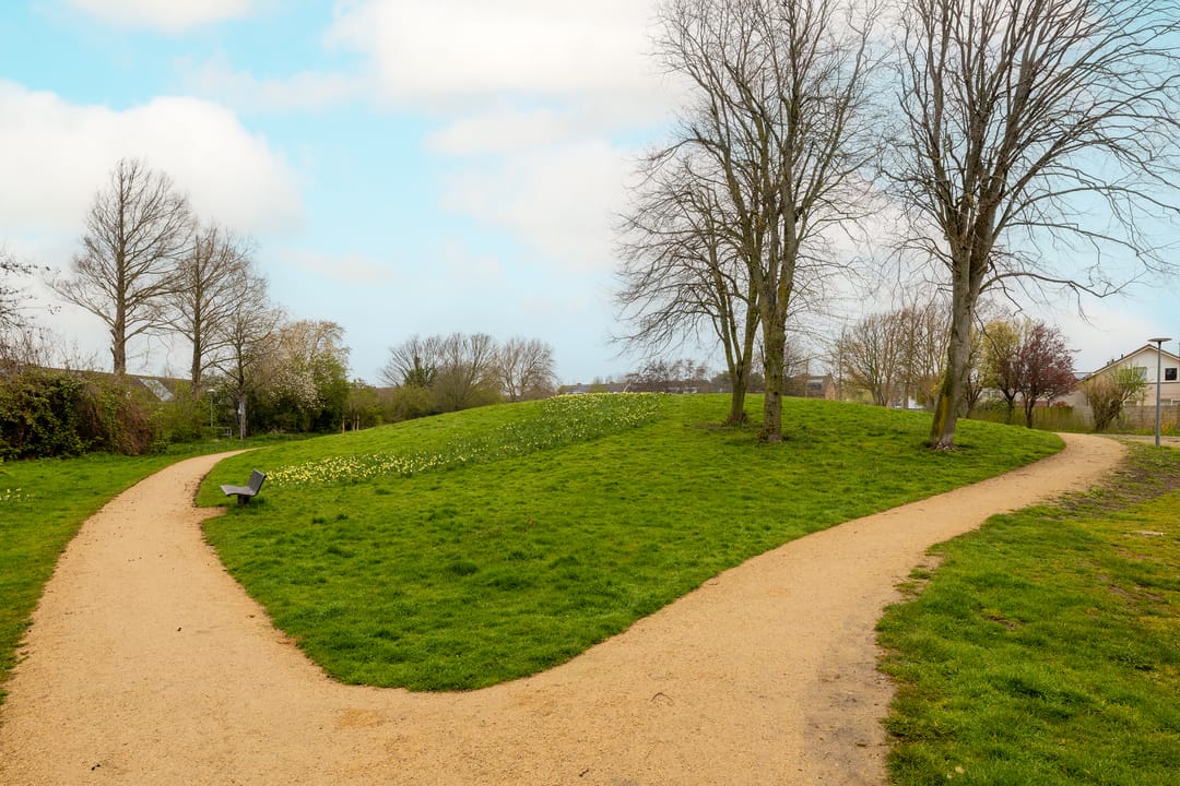 Foto 52 van De Duinsloot 86