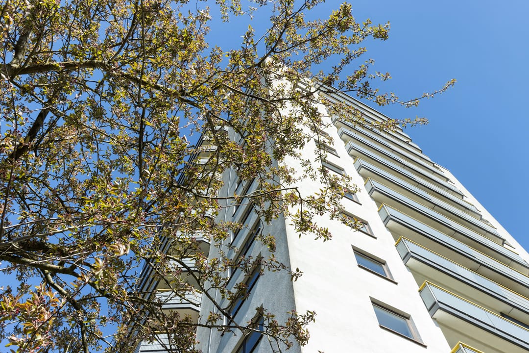 Foto 2 van Kalmoesstraat 189