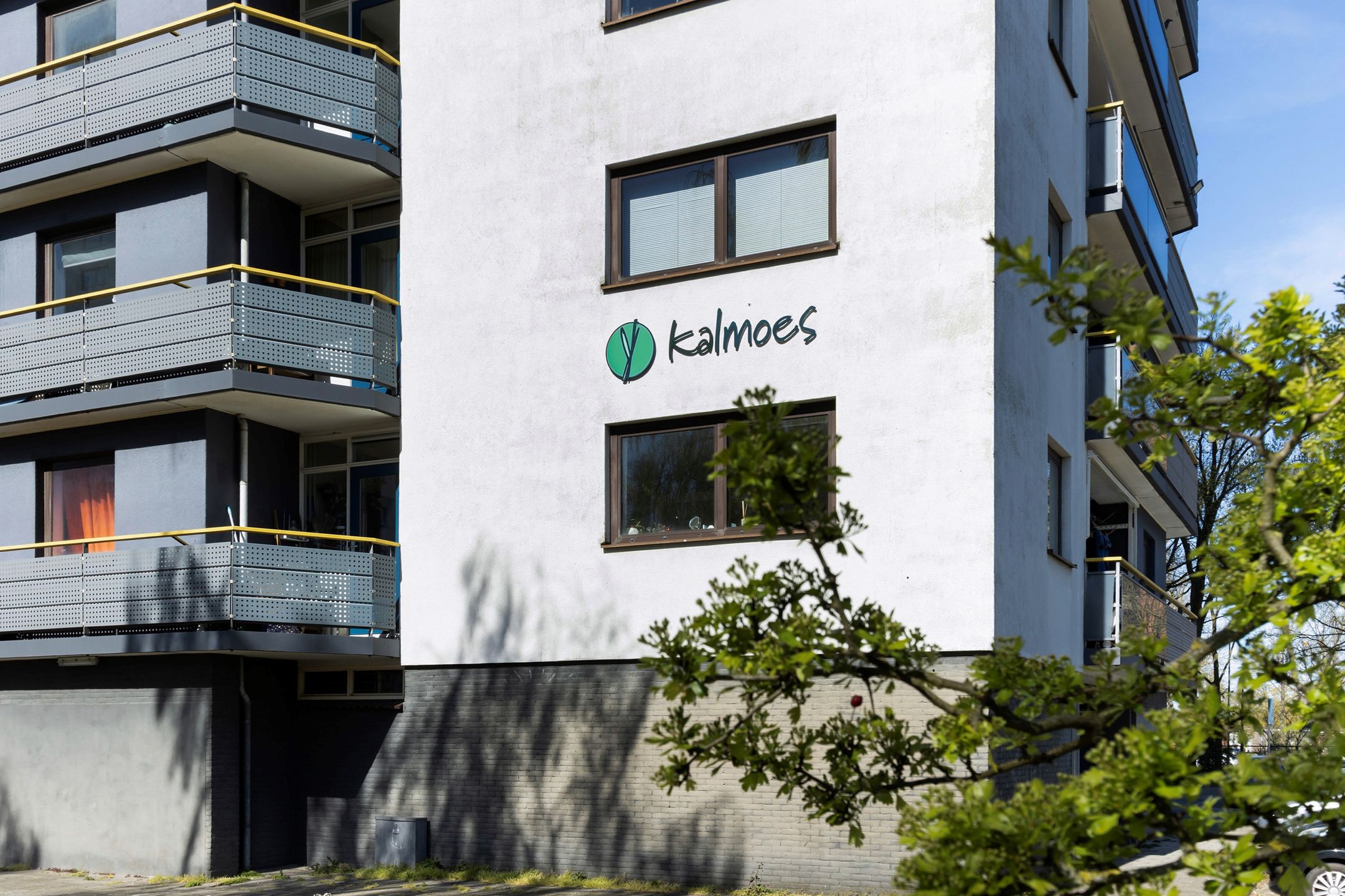 Foto 3 van Kalmoesstraat 189