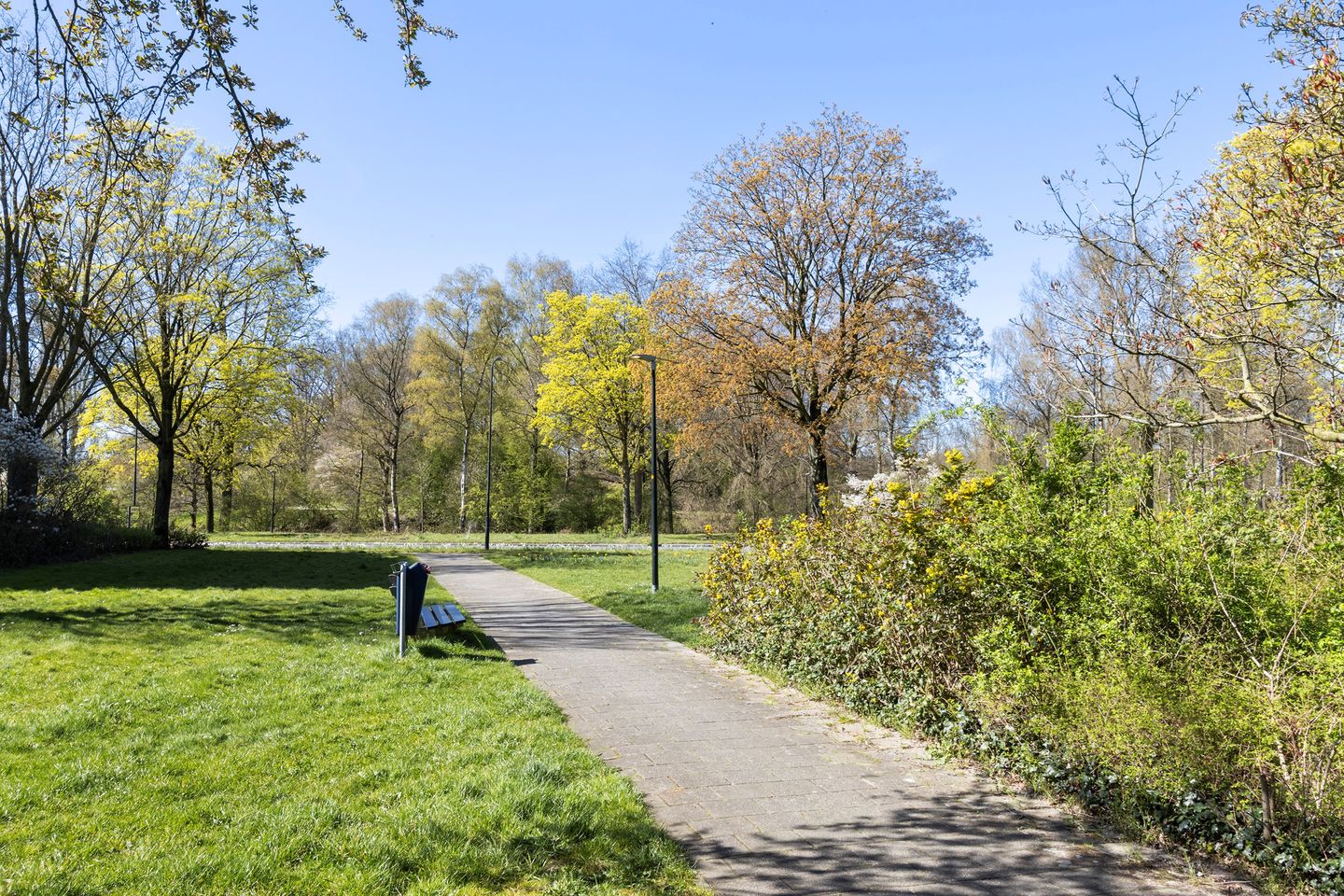 Foto 40 van Kalmoesstraat 189