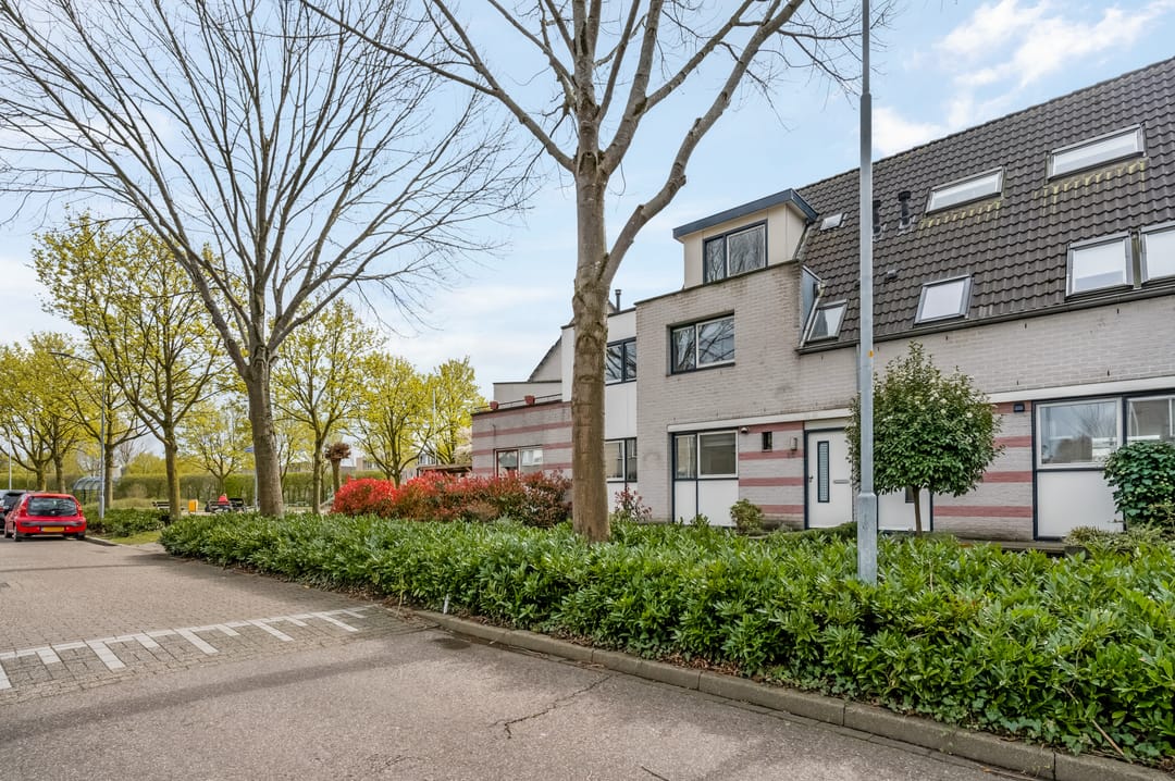 Foto 31 van Martin Luther Kingstate 25