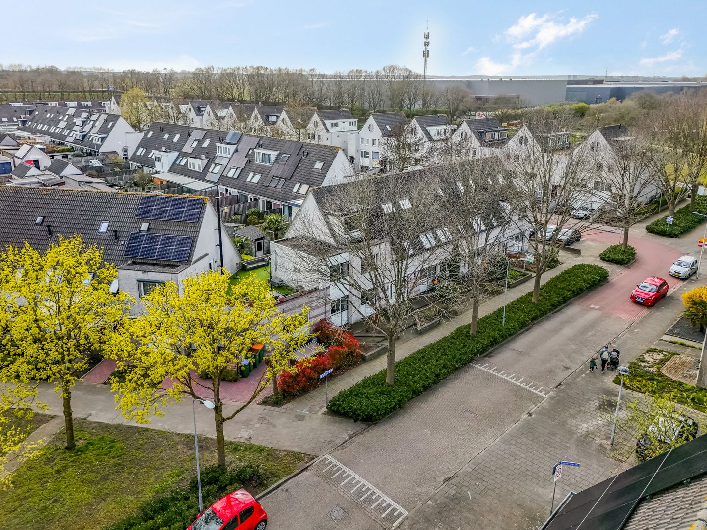 Foto 35 van Martin Luther Kingstate 25