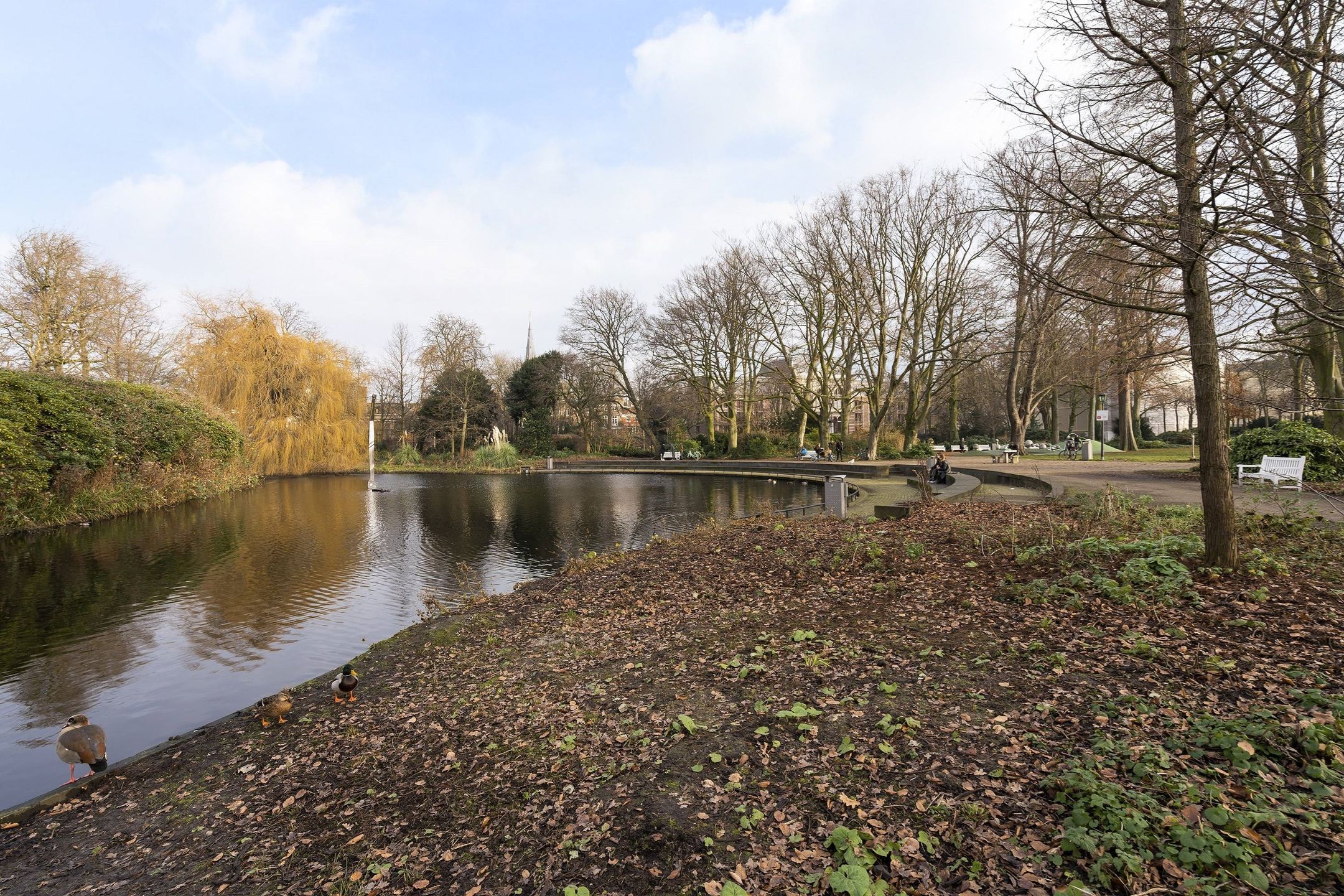 Foto 21 van Pieter van den Zandestraat 25