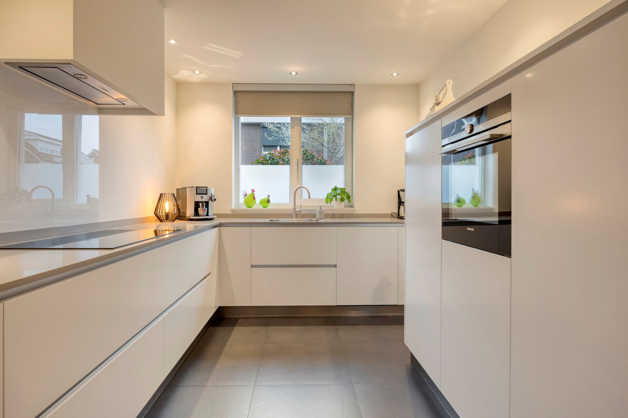 Foto 15 van Lijster 3