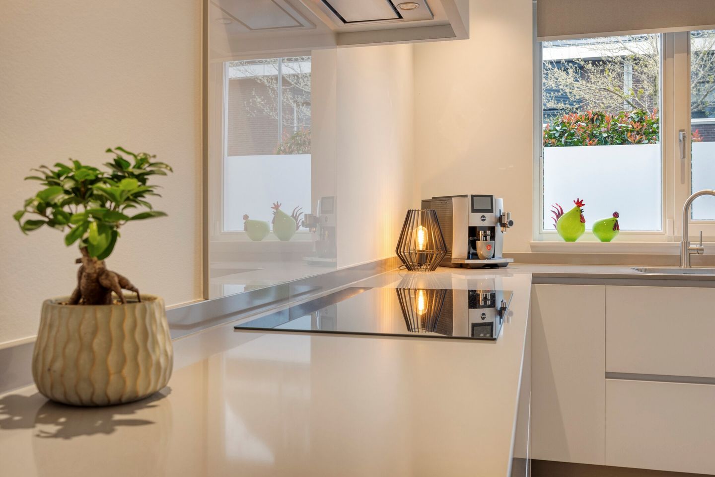 Foto 19 van Lijster 3