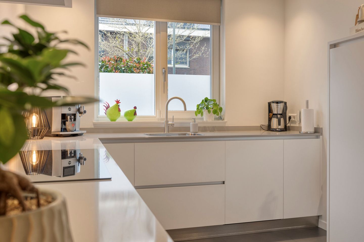 Foto 20 van Lijster 3