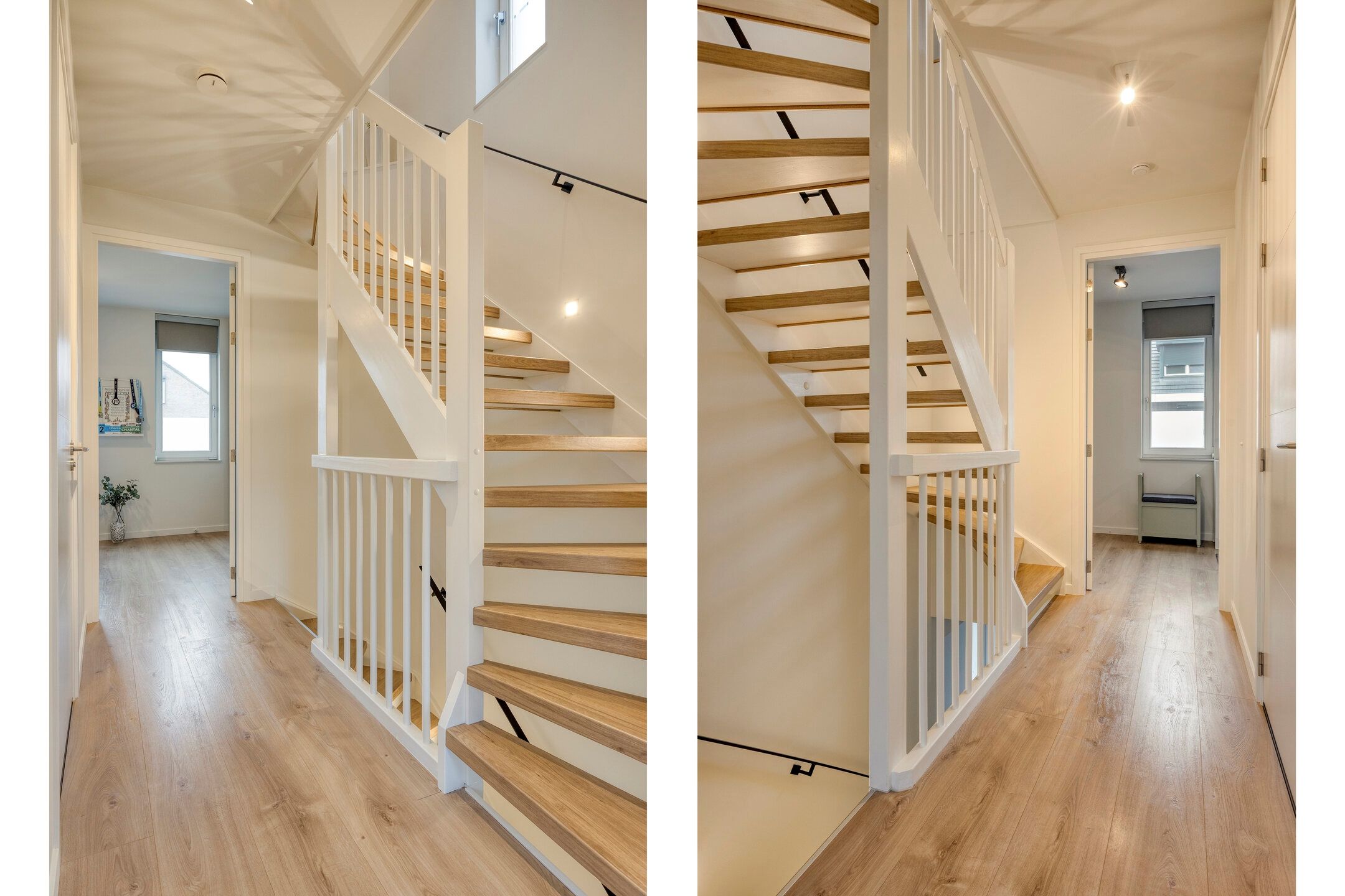 Foto 21 van Lijster 3