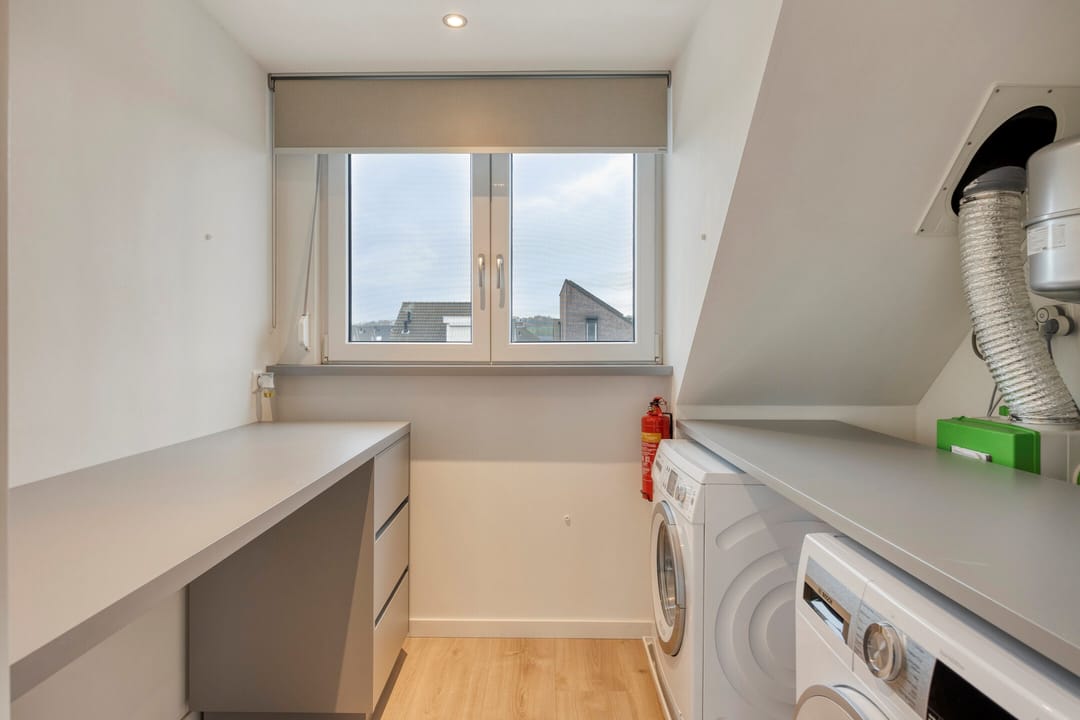 Foto 37 van Lijster 3