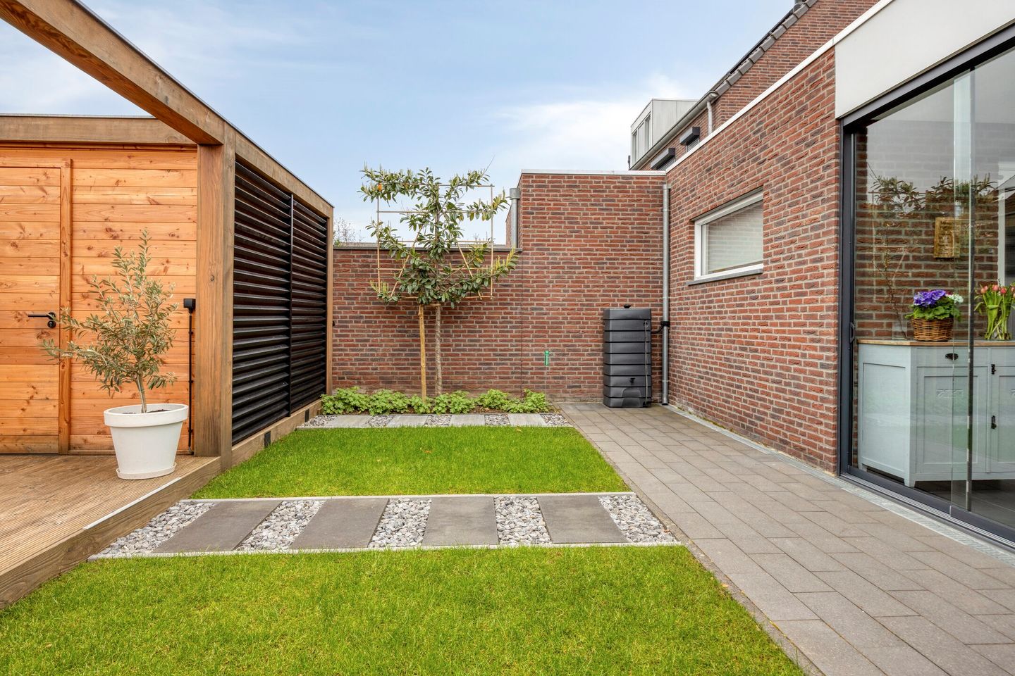 Foto 44 van Lijster 3