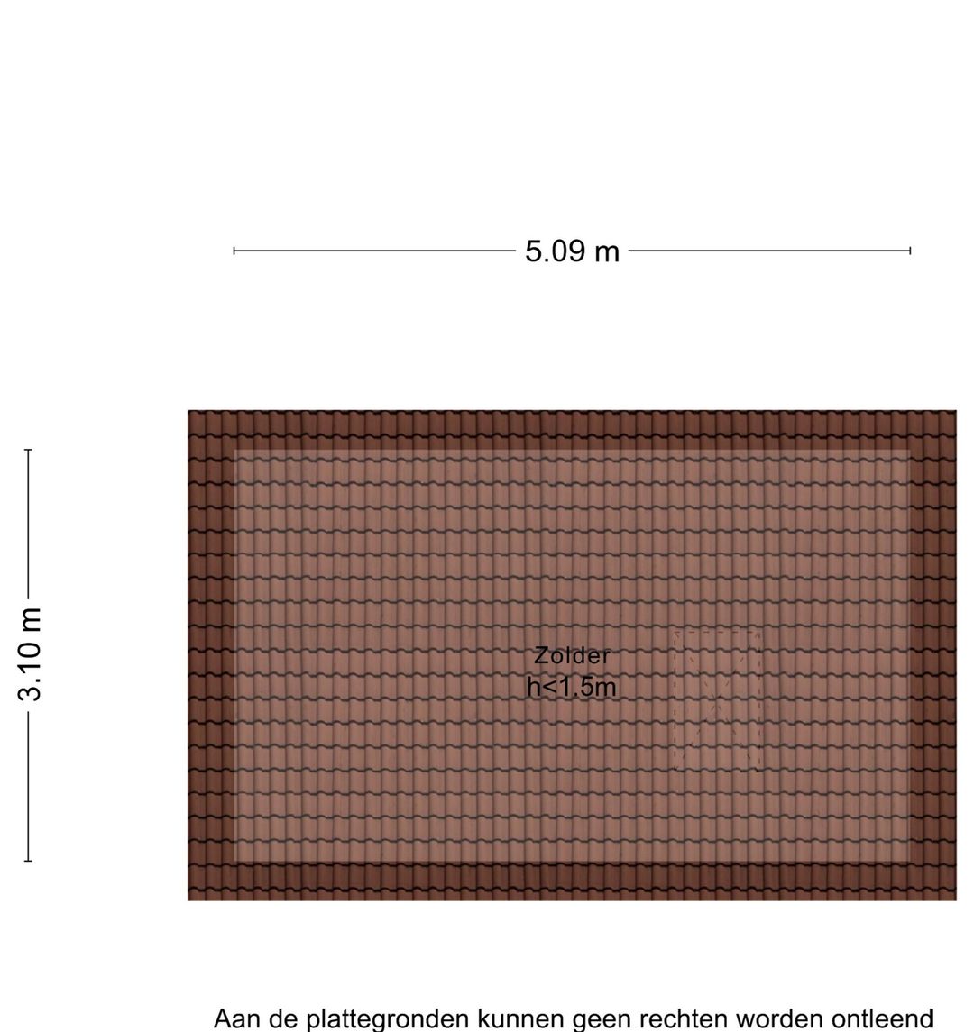 Foto 53 van Lijster 3