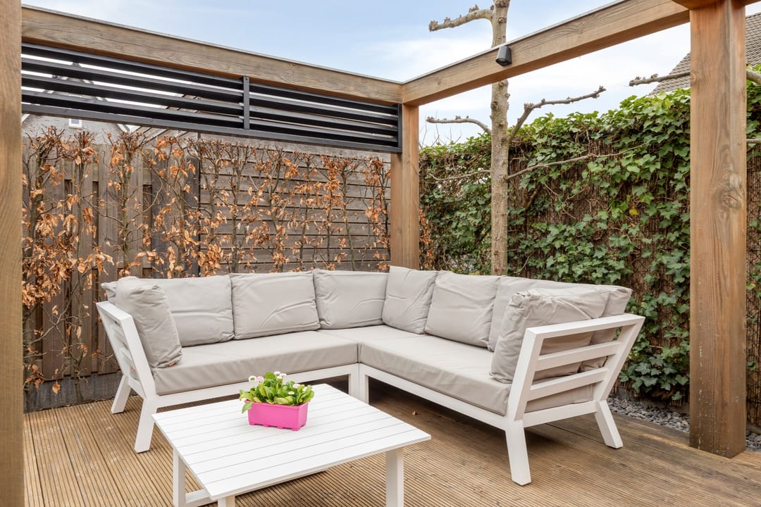 Foto 46 van Lijster 3