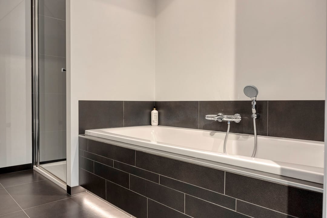 Foto 28 van Lijster 3