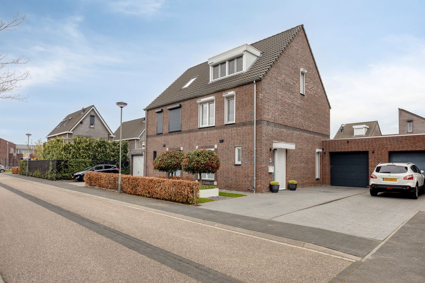 Foto 49 van Lijster 3