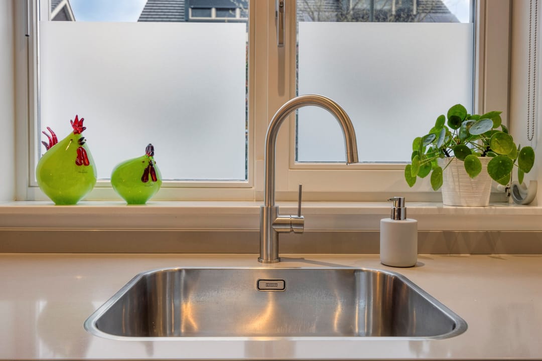 Foto 17 van Lijster 3