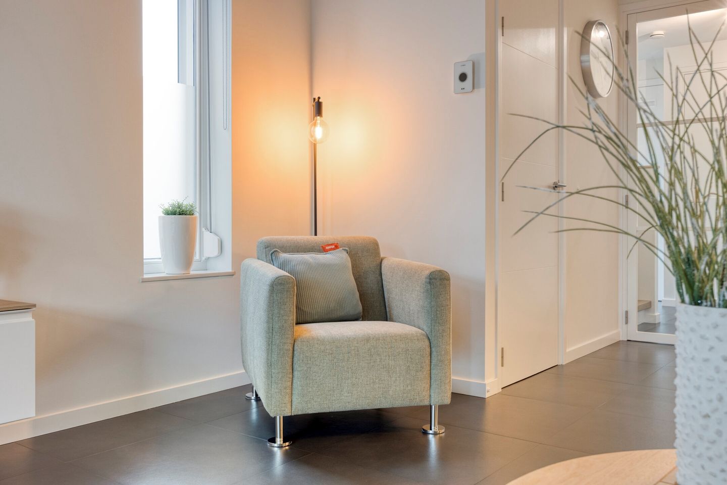 Foto 10 van Lijster 3