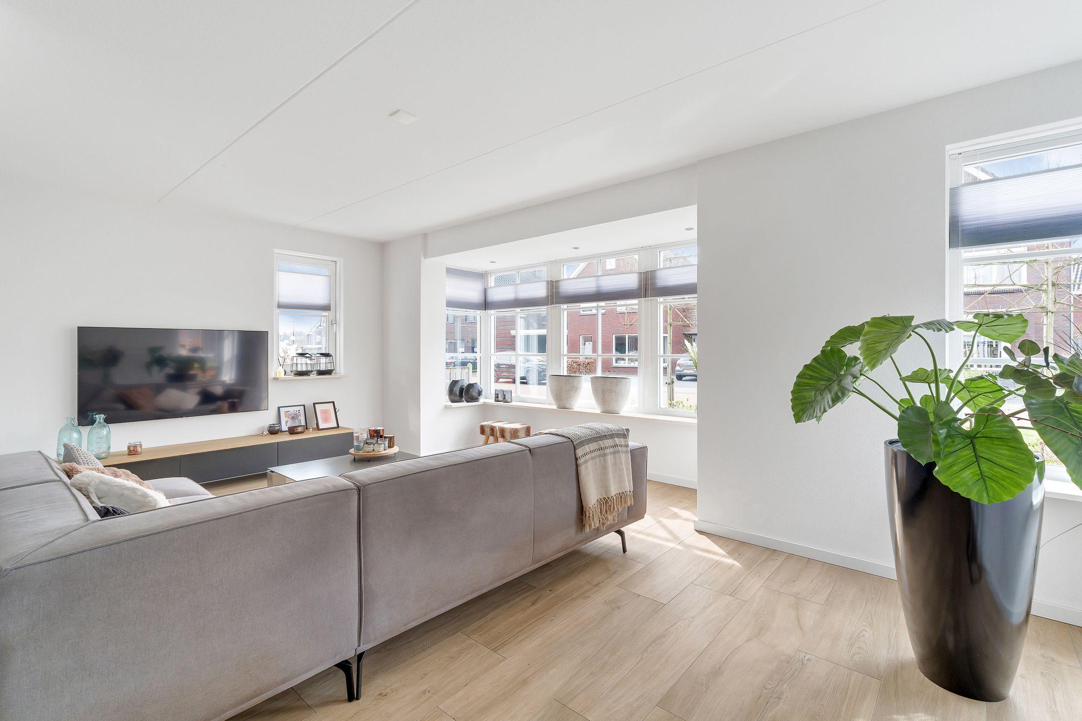 Foto 6 van Pimpernel 12