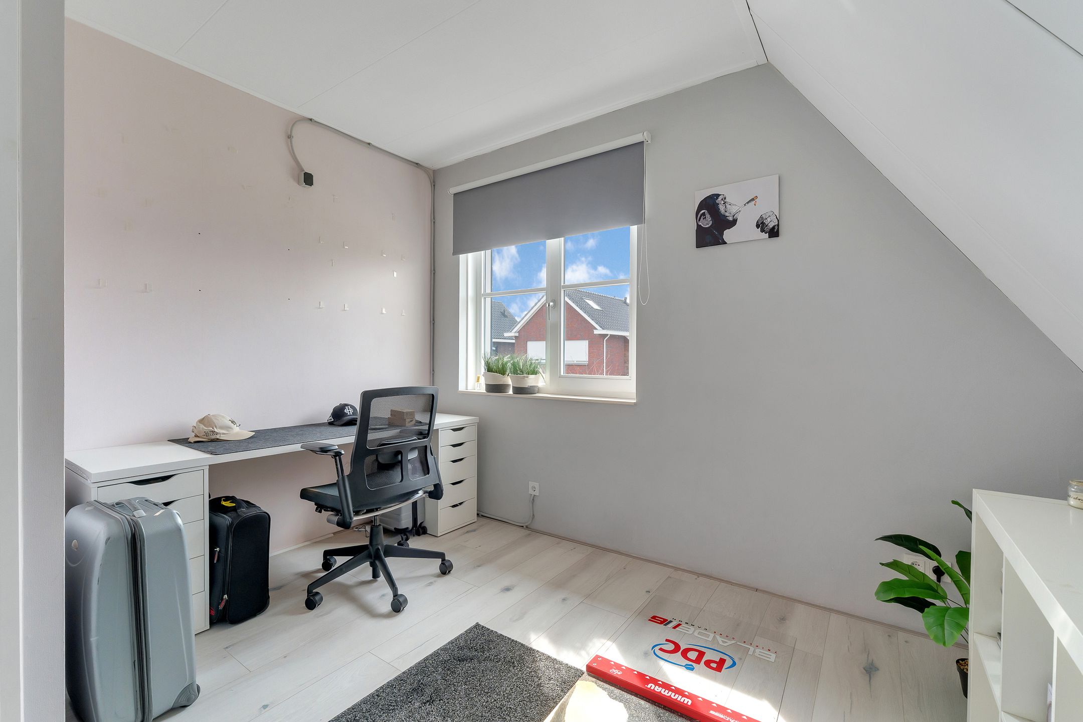 Foto 21 van Pimpernel 12