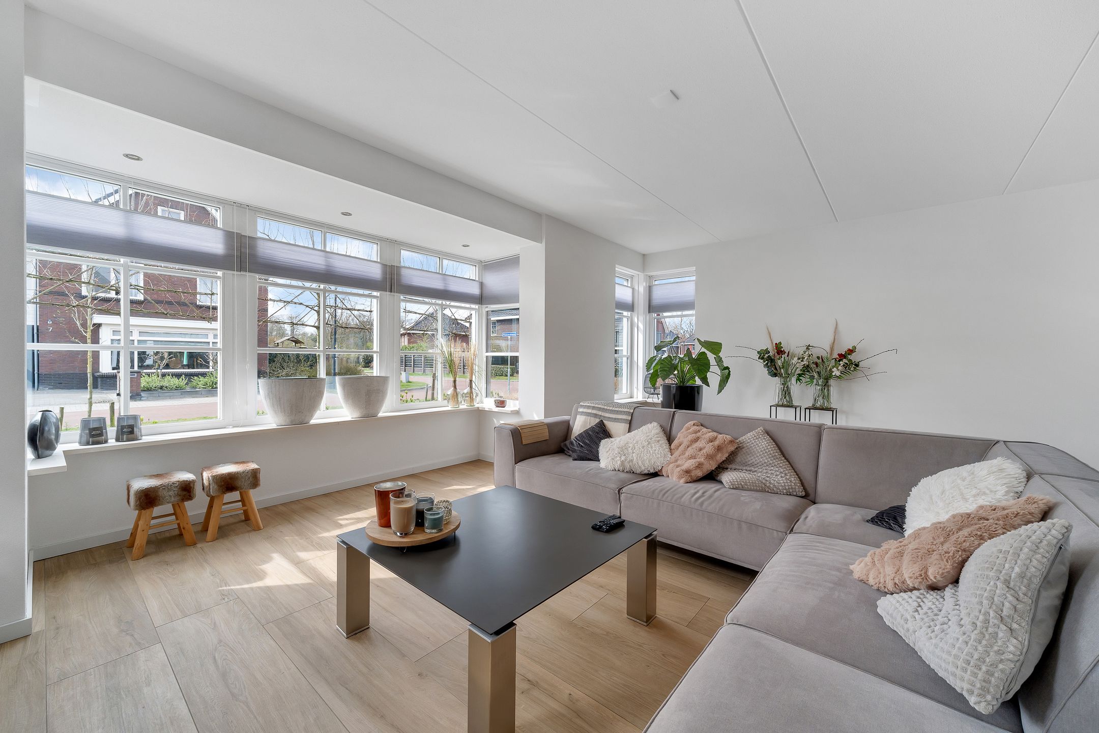 Foto 3 van Pimpernel 12