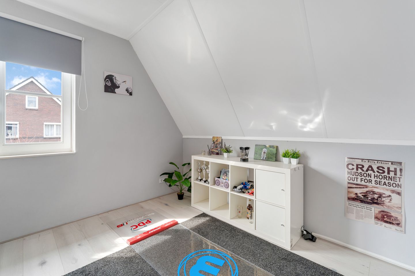 Foto 20 van Pimpernel 12