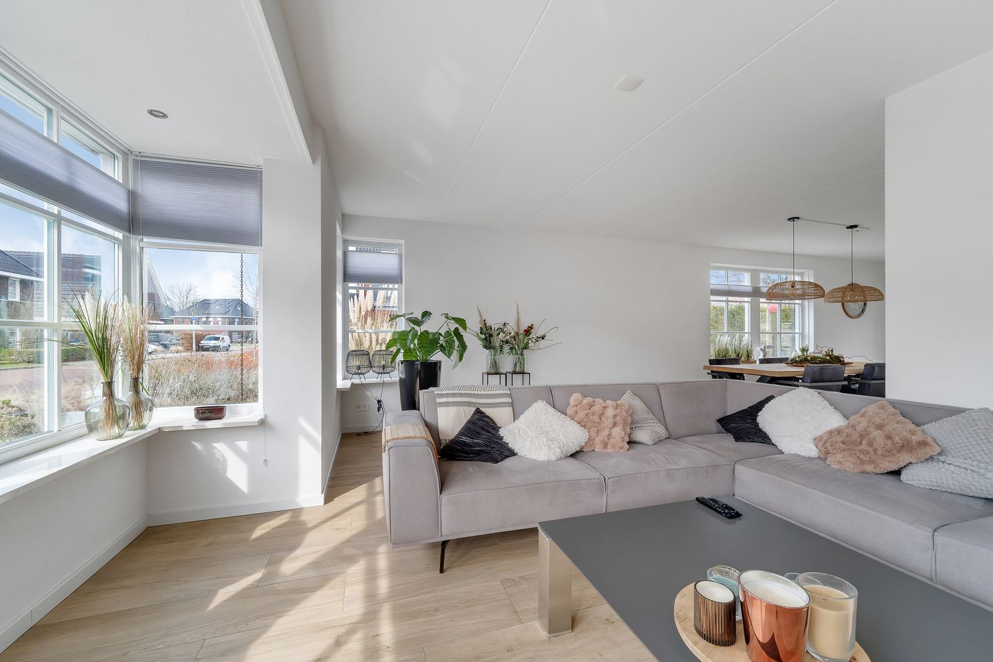 Foto 4 van Pimpernel 12