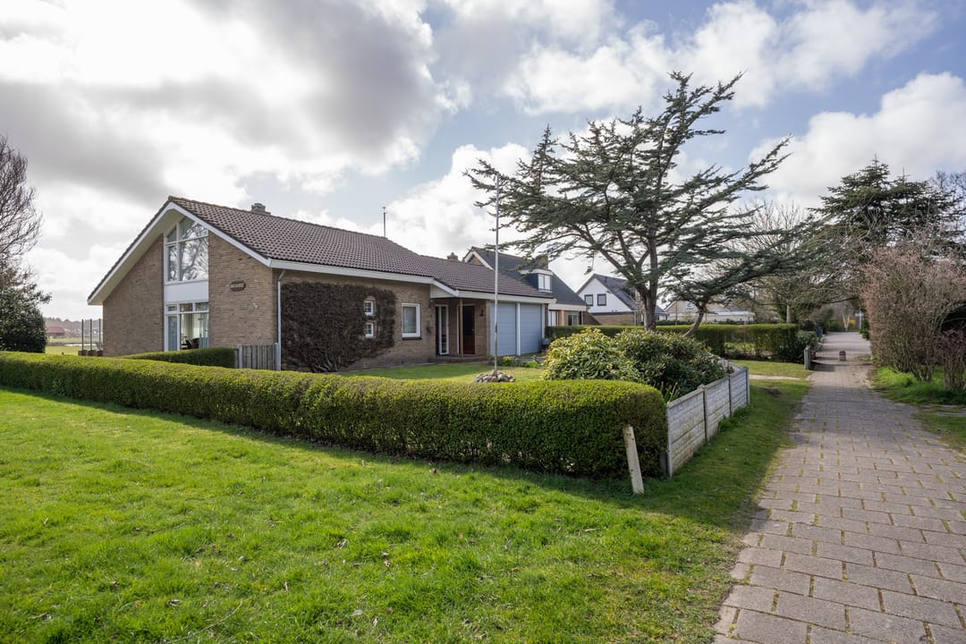 Foto 2 van Orchismient 11