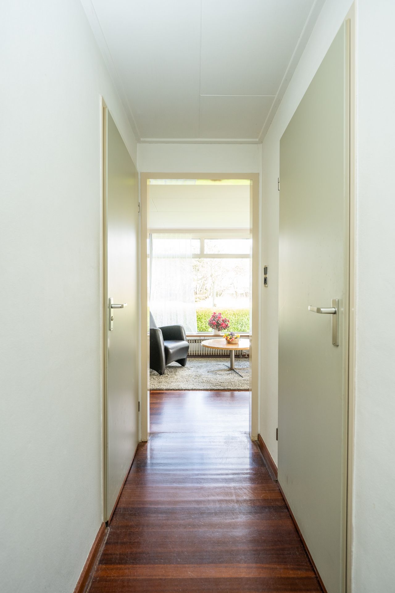 Foto 21 van Orchismient 11