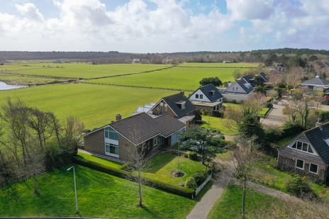 Orchismient thumbnail