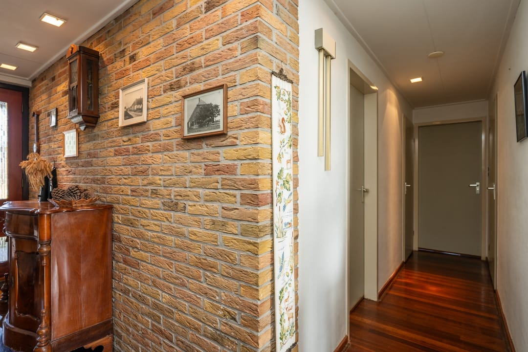 Foto 11 van Orchismient 11