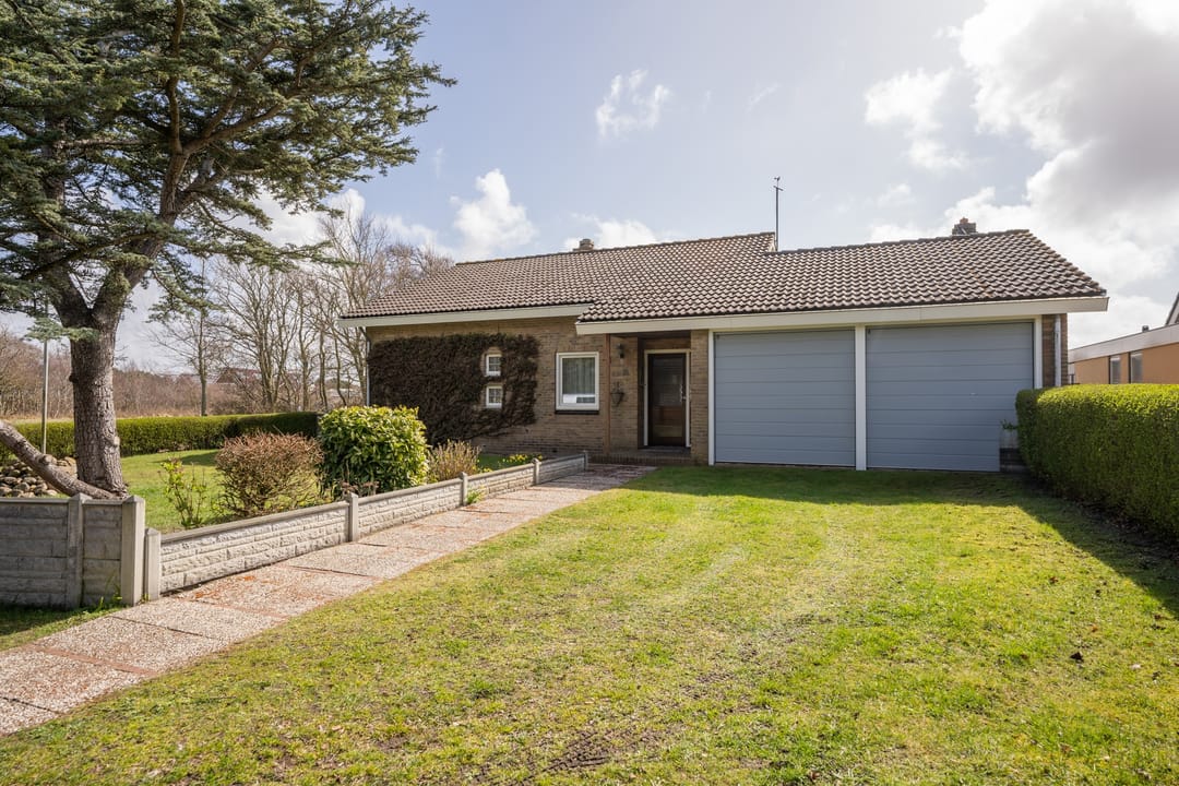 Foto 41 van Orchismient 11