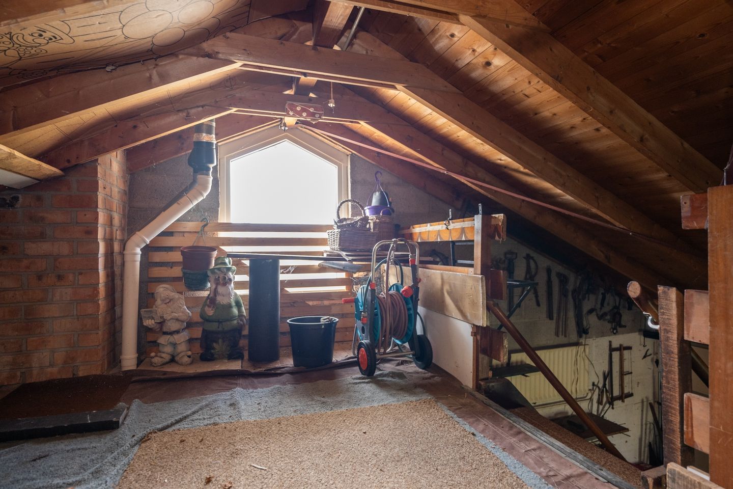 Foto 49 van Orchismient 11