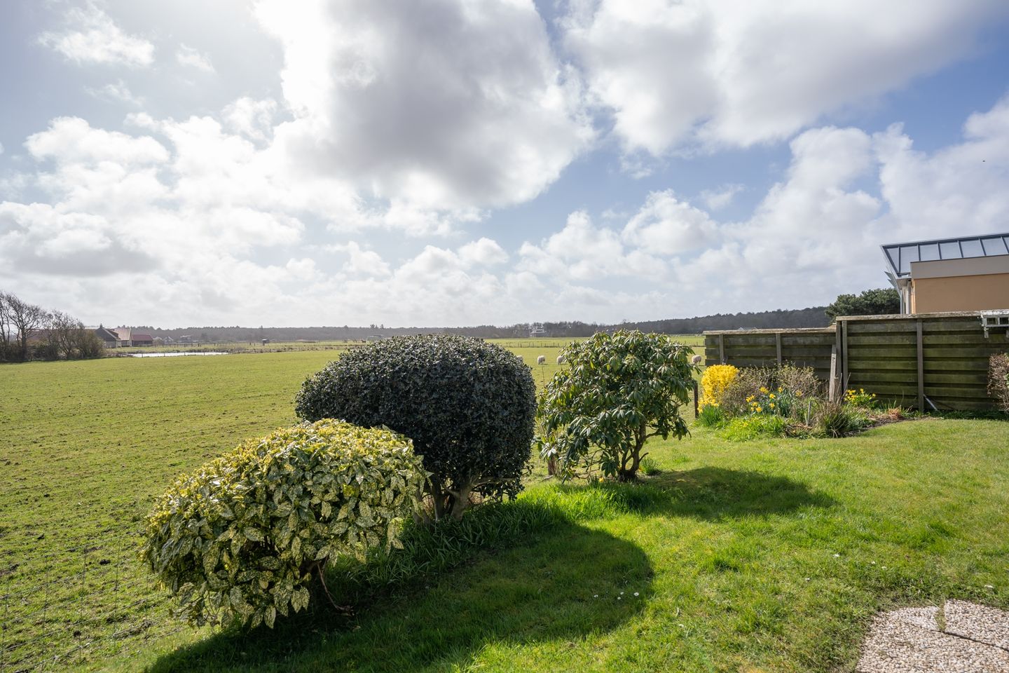 Foto 50 van Orchismient 11