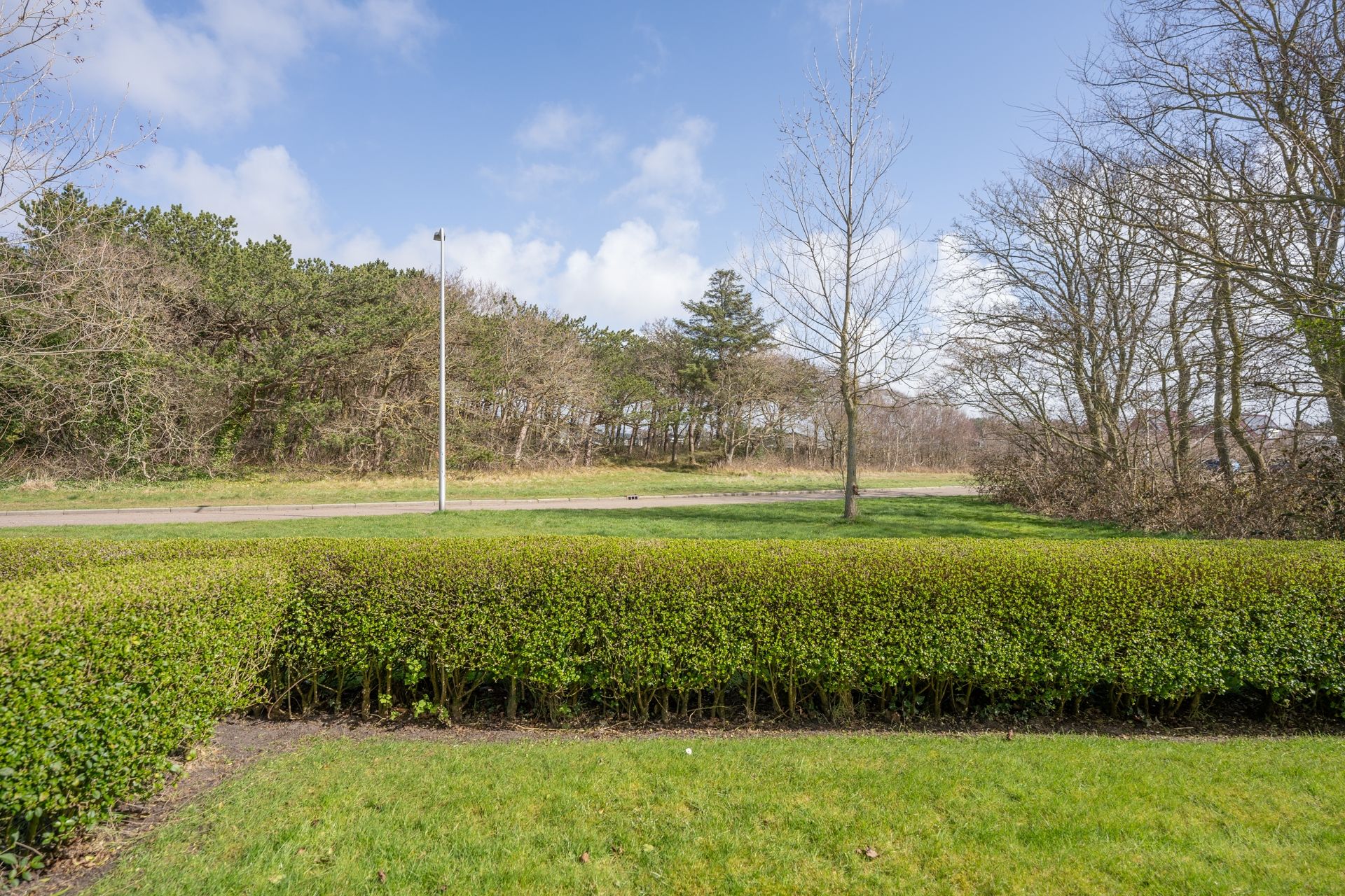 Foto 51 van Orchismient 11