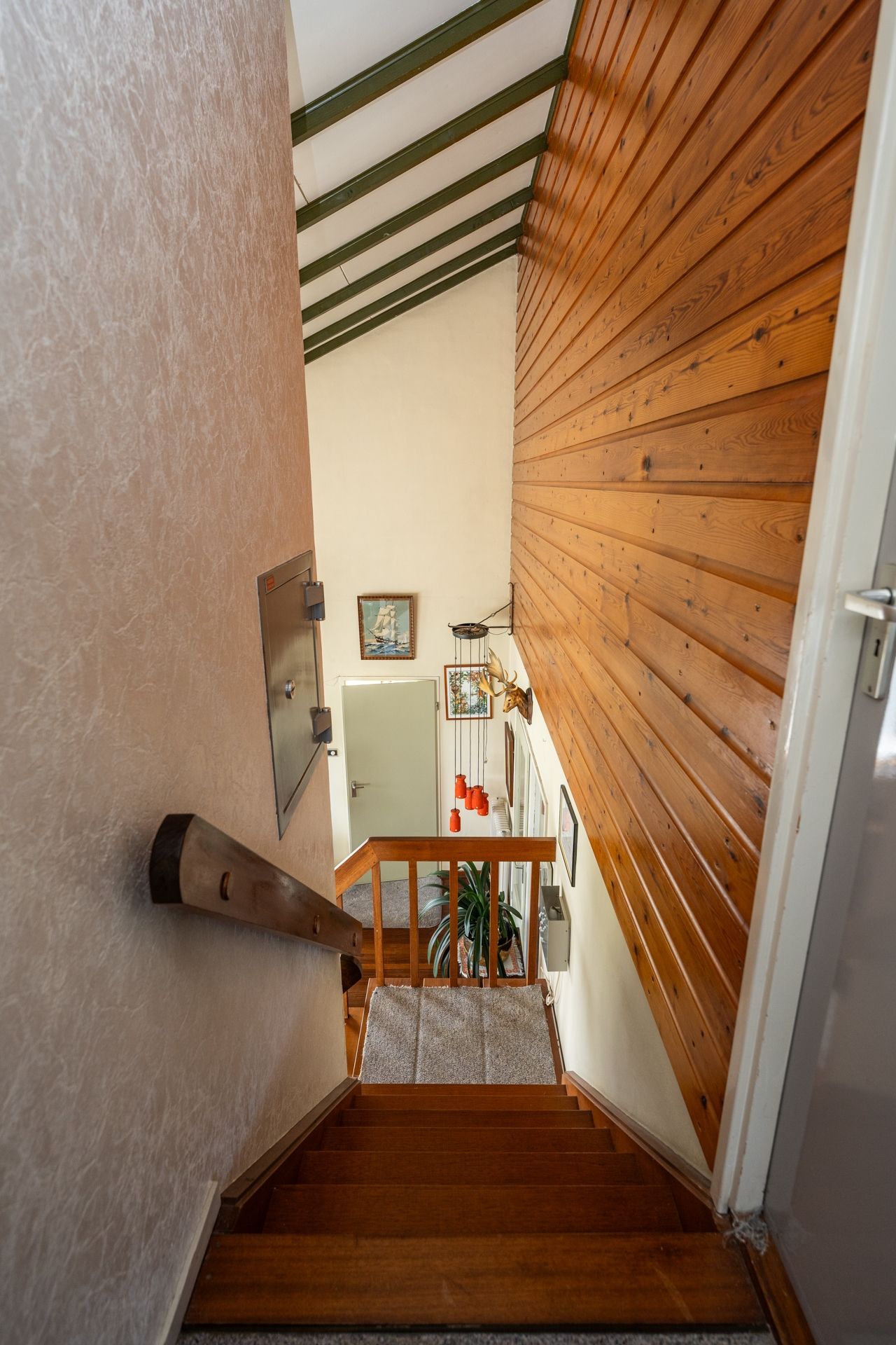 Foto 29 van Orchismient 11