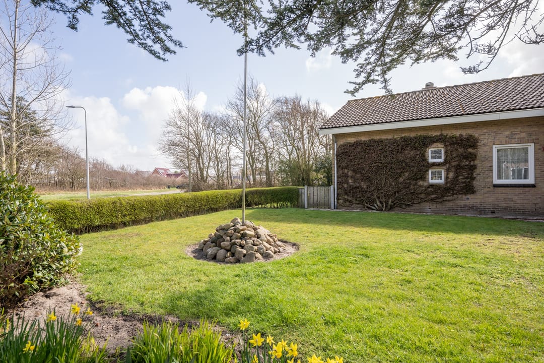 Foto 43 van Orchismient 11