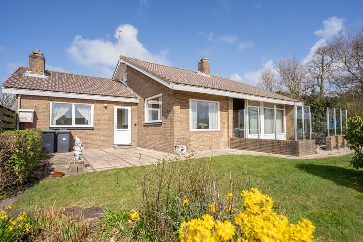 Photo 5 of Orchismient 11