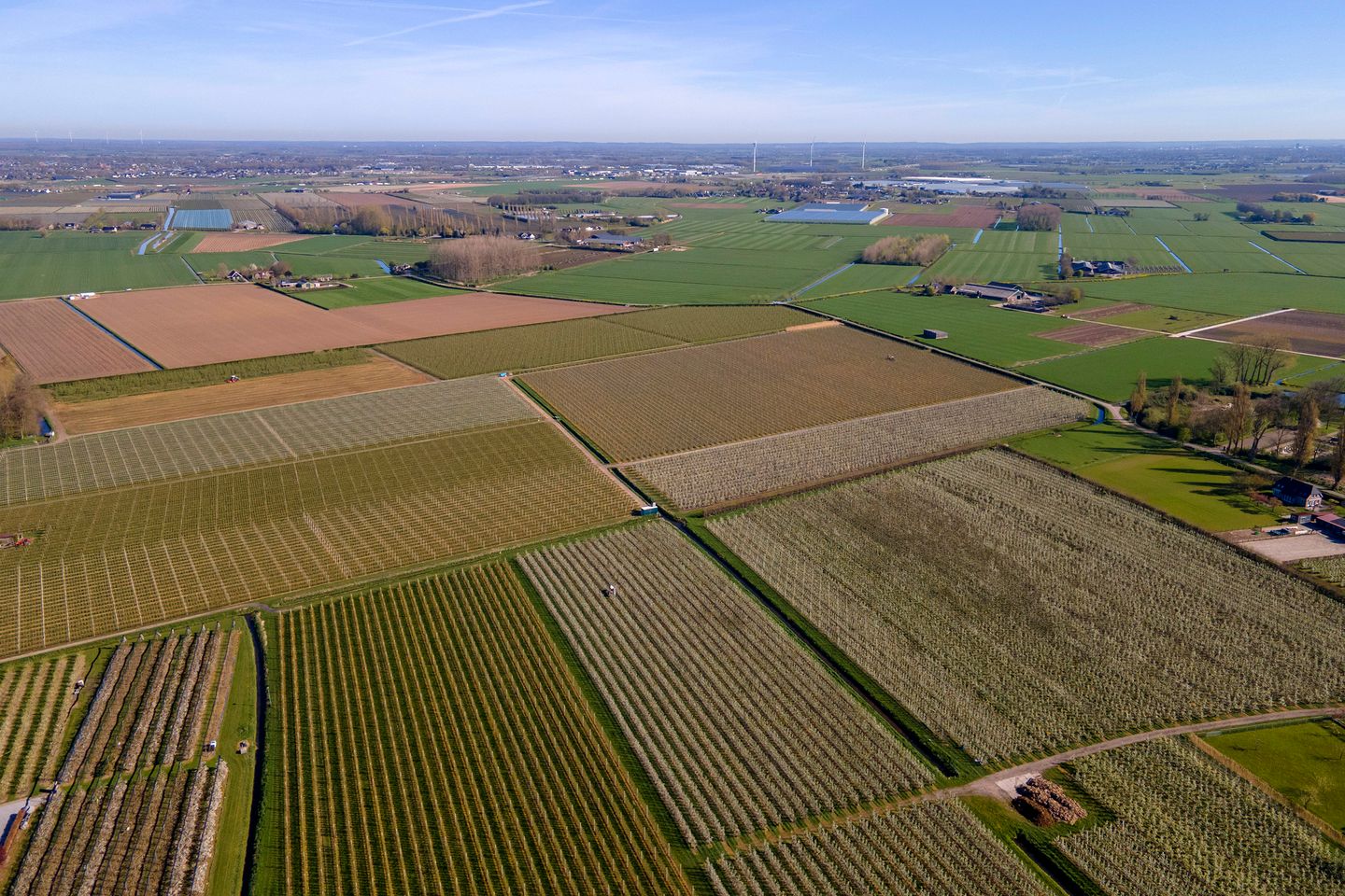 Foto 35 van Polingstraat 13