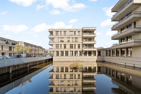 Akkerwinde thumbnail