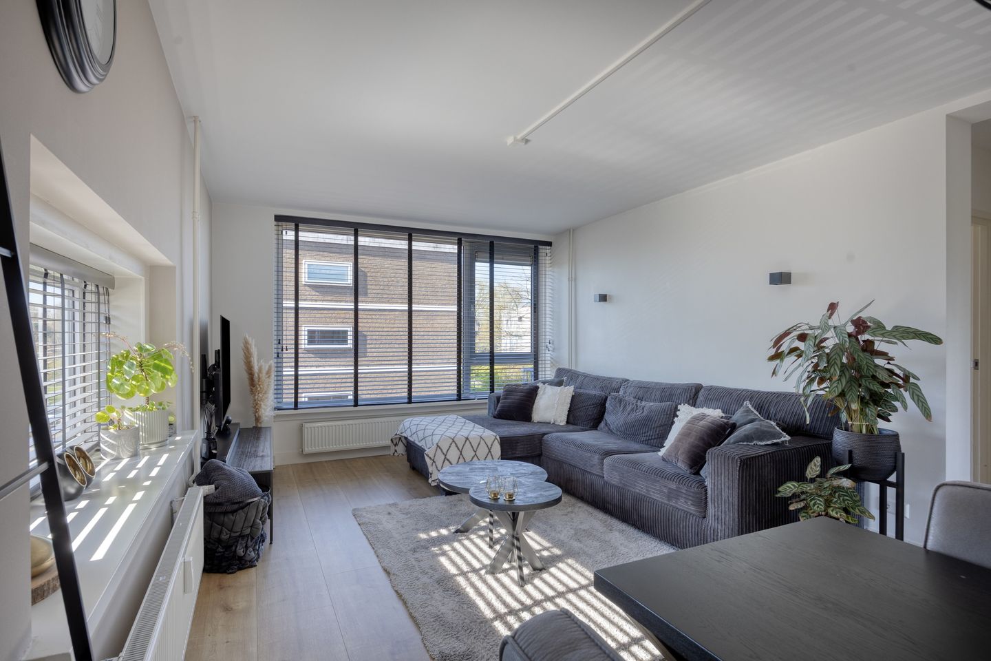 Foto 14 van Van Ostadehof 39