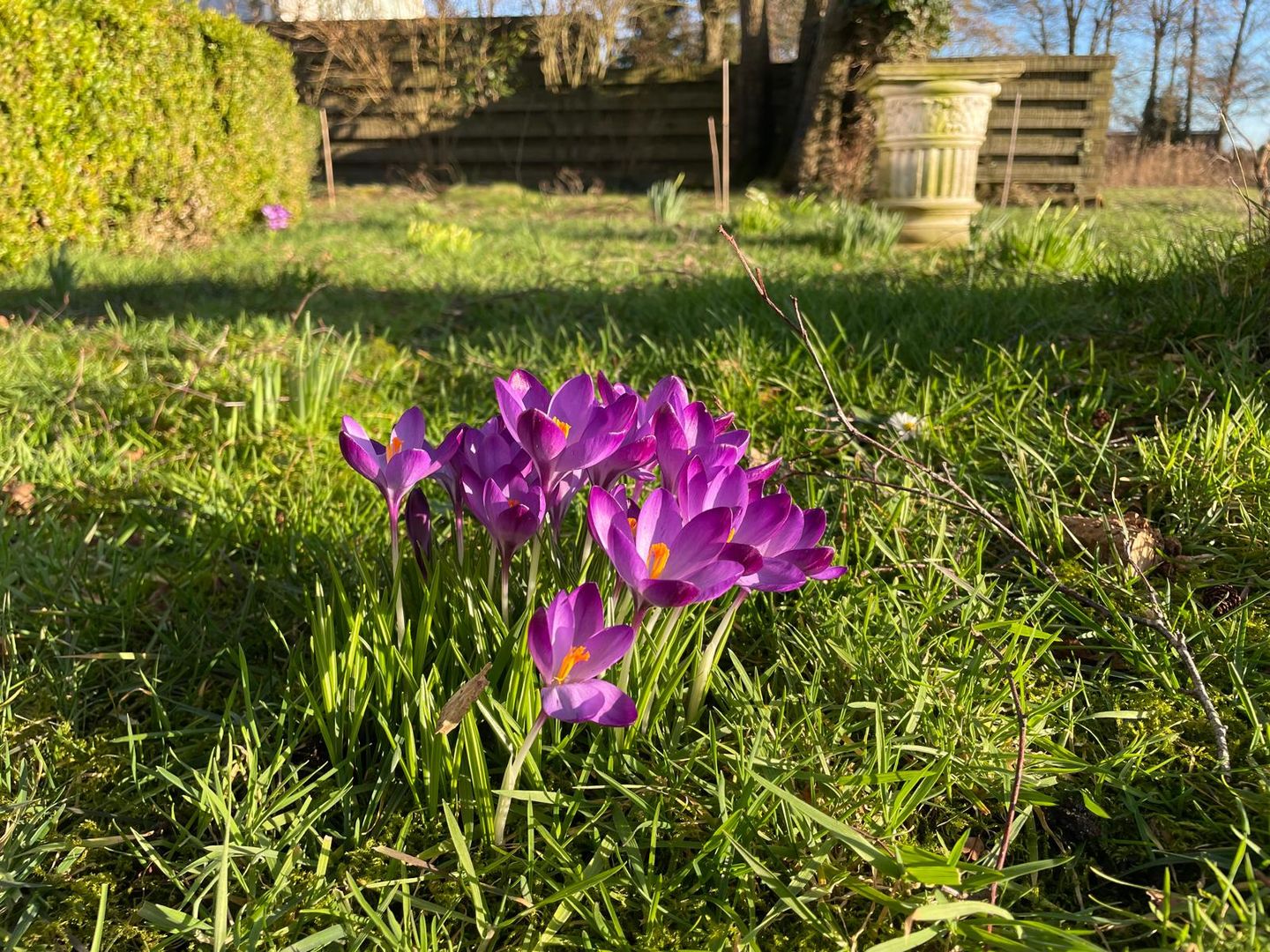 Foto 29 van Hegewarren 1-5