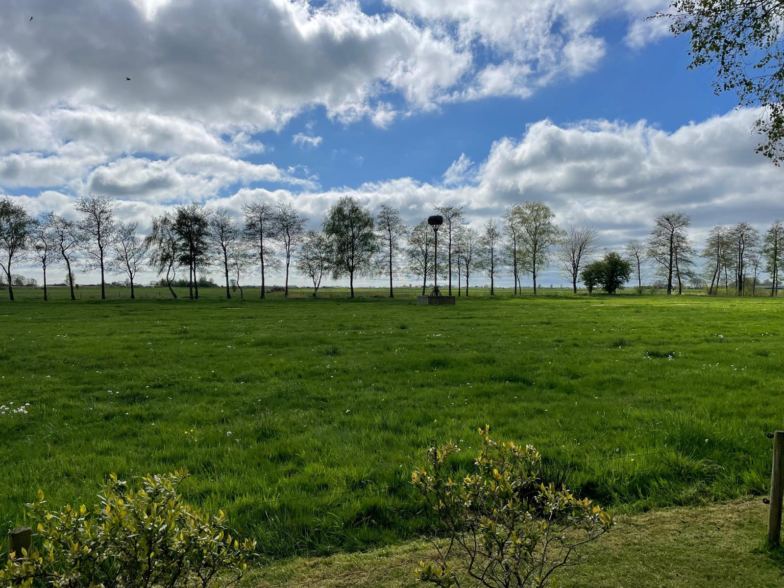 Foto 9 van Hegewarren 1-5